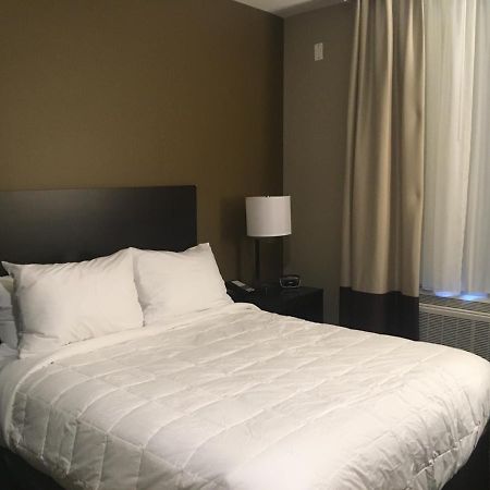 The Williams Hotel نيو يورك المظهر الخارجي الصورة